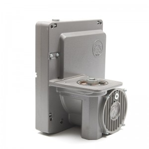 Jinma LTD series aerial work basket hoist